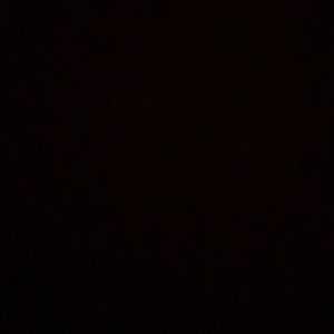 Meet your Posher, Judith